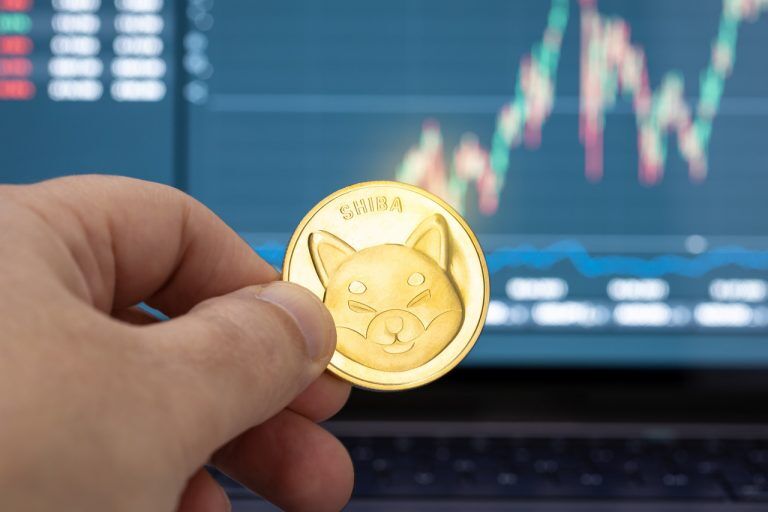 Will the Shiba Inu price 100x during this bull market?